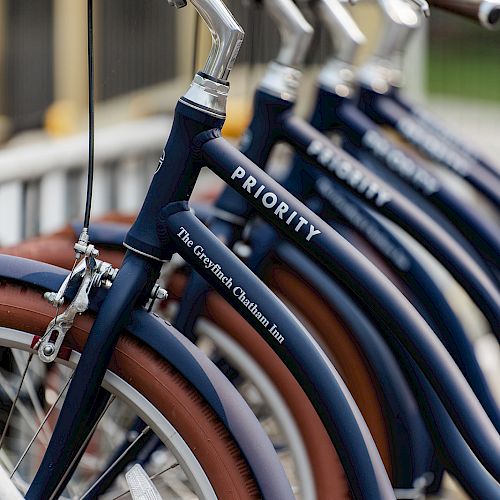 The image shows a row of bikes with 